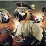 Parrot In A Pirate Costume Poster