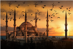 Blue Mosque In Istanbul Landscape Canvas