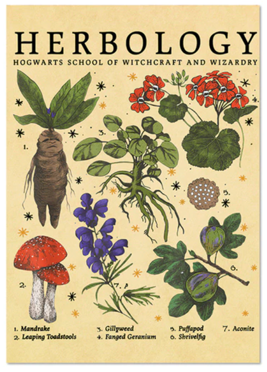 Herbology deals harry potter