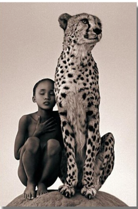 Boy And Cheetah Canvas