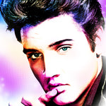 The King Elvis Presley Canvas Artwork