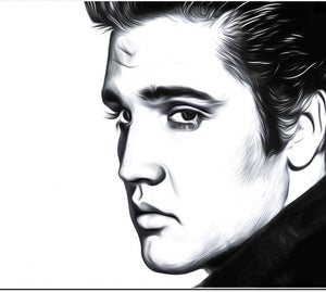 The King Elvis Presley Canvas Artwork