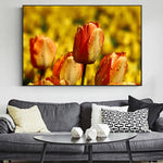 Tulip Flowers Canvas