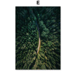 Mountain Lake & Forest Road Canvas Art