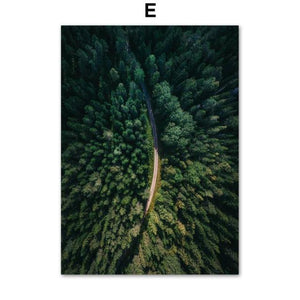 Mountain Lake & Forest Road Canvas Art