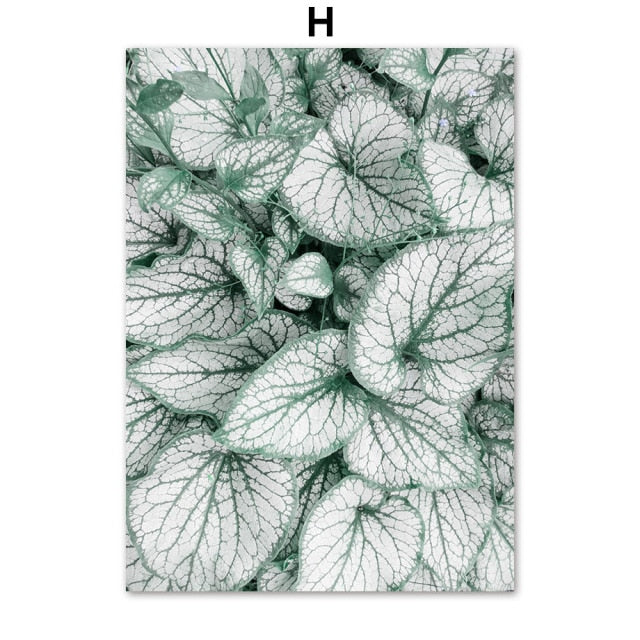 Green Plant Monstera Forest & Lake Mountain Wall Art