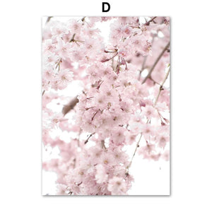 Flower Cherry Blossoms Wall Art