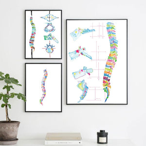 Colourful Spine Anatomy Artwork - Pretty Art Online