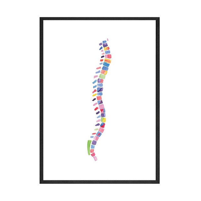 Colourful Spine Anatomy Artwork - Pretty Art Online