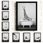 Black And White Animals Wall Art