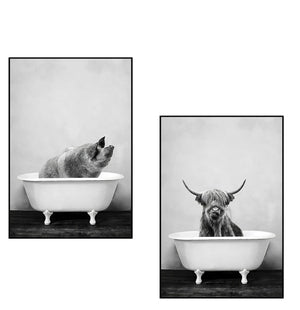 Black And White Animals Wall Art