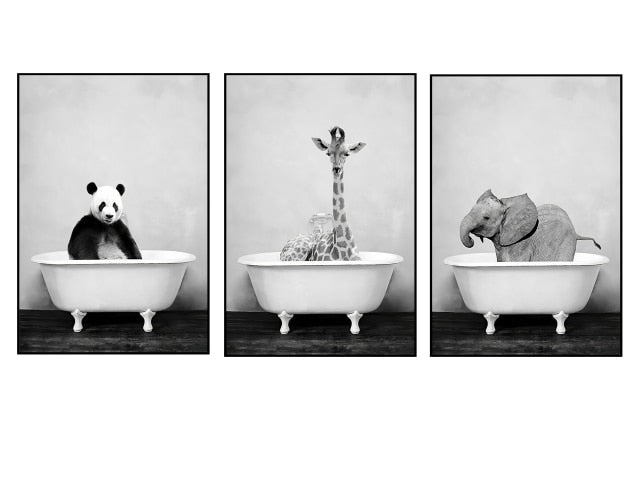 Black And White Animals Wall Art