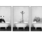 Black And White Animals Wall Art