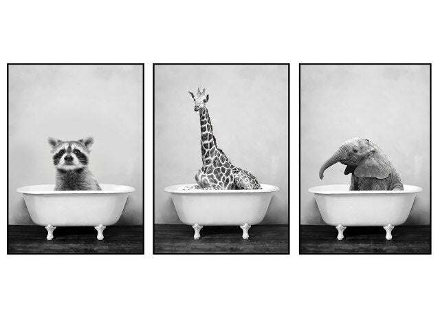 Black And White Animals Wall Art