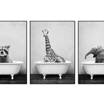 Black And White Animals Wall Art